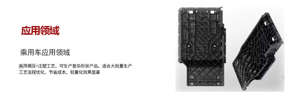 乘用車(che)應用領域(yù)